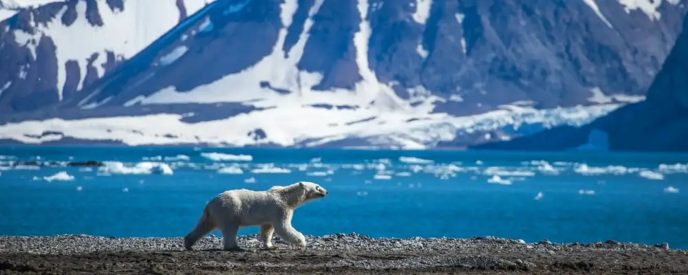 архипелаг Шпицберген